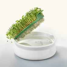 Charger l'image dans la galerie, Coupelle de germination pour graines à mucilage