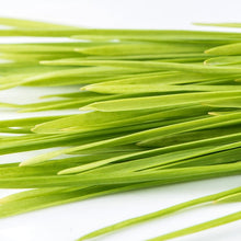 Charger l'image dans la galerie, Grains de blé biologique (semences pour germination)