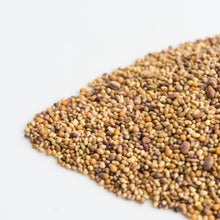 Charger l'image dans la galerie, Rehaussant pour sandwichs biologique (semences pour germination)