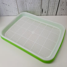 Charger l'image dans la galerie, Plateaux pour micropousses