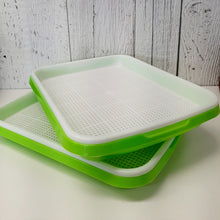 Charger l'image dans la galerie, Plateaux pour micropousses