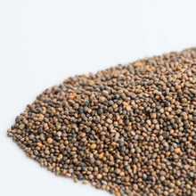 Charger l'image dans la galerie, Roquette biologique (semences pour germination)