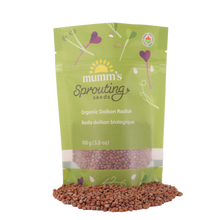 Charger l'image dans la galerie, Radis daikon biologique (semences pour germination)