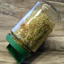 Charger l'image dans la galerie, Germoir bocal Germline