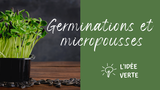 Atelier : Germinations et micropousses