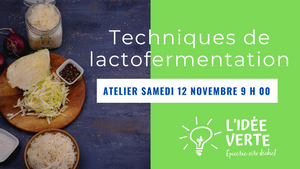 Atelier Techniques de lactofermentation - Samedi 12 novembre 9 h 00